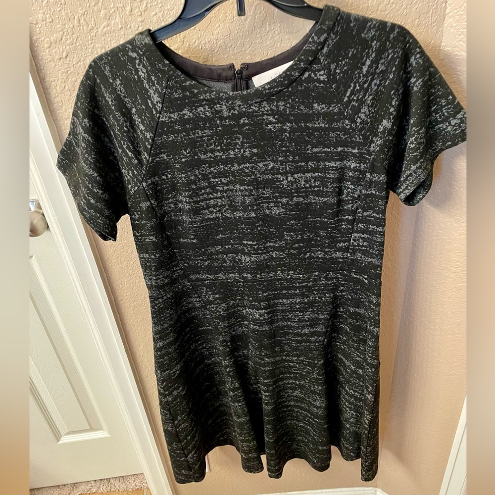 Loft Dress Size 12P Women Fit & Flare Short Sleeve